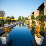 ザ シェルシー クラビ